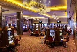 56jeet Cricket, Crash Games and Live Tables on the Go